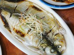 清蒸鲜白鱼-西新饭店(城中店)