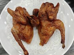 -鸽鸟轩(石岐店)