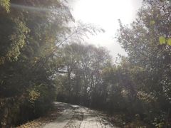 -紫霞湖公园