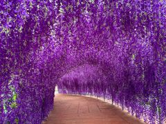 -珠海海泉湾神秘岛亲子乐园