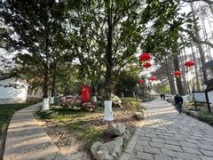 -瀛洲公园