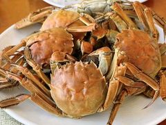 -视界美食自助餐厅·石家庄希尔顿酒店