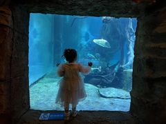 -华夏文旅西安度假区