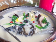 -张鸟园农家乐(张鸟园店)