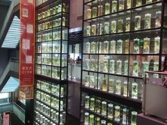 -广东中医药博物馆