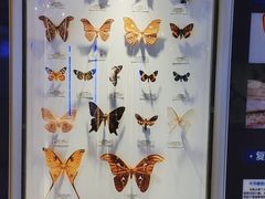 -吉林省自然博物馆