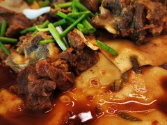 -沙洲胡杨焖饼