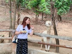 -清迈夜间动物园