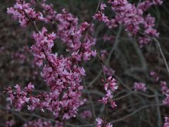 -天台山赤城山景区