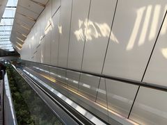-山顶缆车