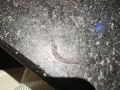 -糖潮量贩KTV(高新万达广场店)