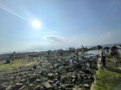 -养马岛旅游度假区
