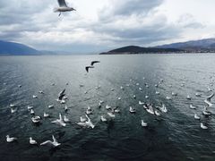 -白家寨子·山野白族菜(古城总店)