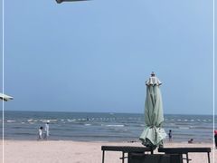 -日照海滨国家森林公园