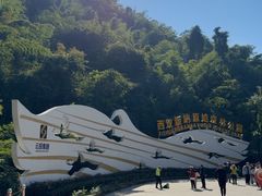 -西双版纳原始森林公园