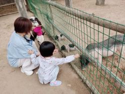 -上美四季动物农场