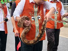 -无锡动物园·太湖欢乐园