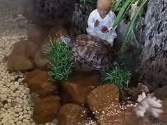 -威海九禧海鲜居渔水饺(经区店)