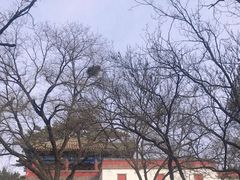 -普陀宗乘之庙(小布达拉宫)