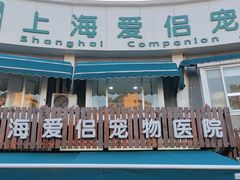 -爱侣宠医·鹦鹉专科·小型哺乳类·异宠专科(灵石路店)