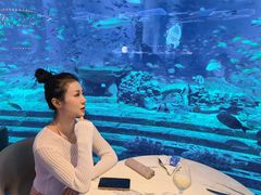 -亚特兰蒂斯•OSSIANO奥西亚诺海底餐厅