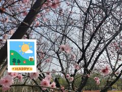 -白塘生态植物园