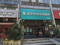 -伟伟宠物医院·CT影像中心·瑞派犬猫综合性门诊(汉口总院)