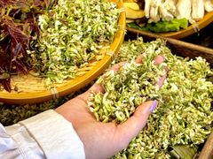 -阿山卓·野生菌火锅·纳西火塘烤肉