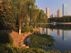 -后襄河公园