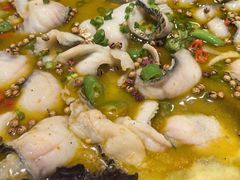 -鸡毛店·川菜(双楠店)