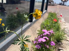 -白草畔自然风景区