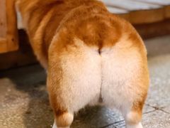 -几个木匠匠人厨房