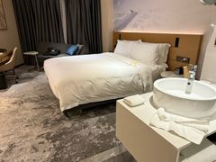 -广州白云机场雅高铂尔曼大酒店