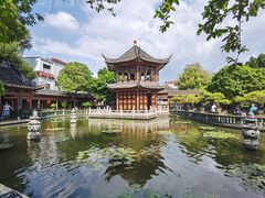 -碧江金楼