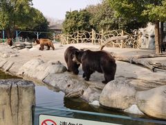 -常州淹城野生动物世界