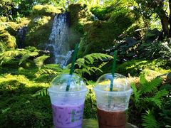 -Chom Cafe and Restaurant