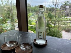 -新加坡飞禽公园