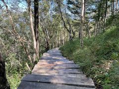 -白草畔自然风景区