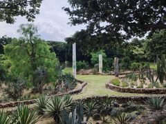 -东莞植物园