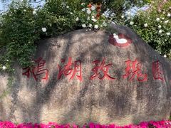 -鹅湖玫瑰文化园
