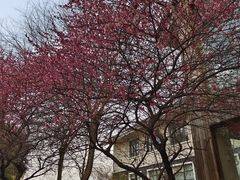 -三江森林温泉度假区