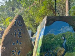 -西双版纳原始森林公园