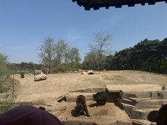 -沈阳森林动物园