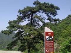 -秦岭终南山世界地质公园翠华山景区