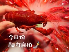-红盔甲·小龙虾(天钥桥店)