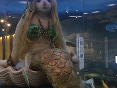 -成都泰迪熊博物馆