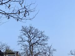 -孤山景区-孤山寺