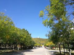 -山东大学(威海校区)