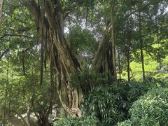 -乌山风景区