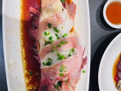 -阿毛饭店首店·宁波老字号(文化广场店)
